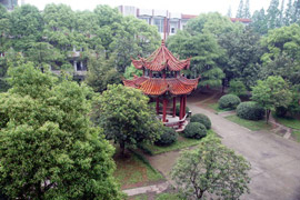 RI(y)Ќ(zhun)
